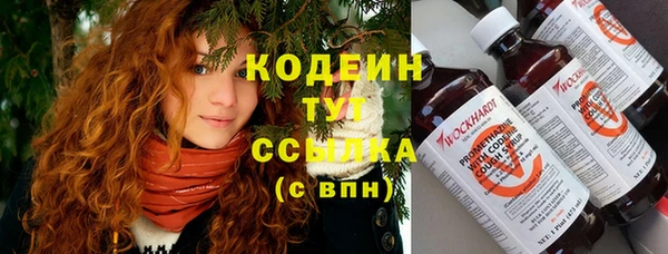 mix Пересвет