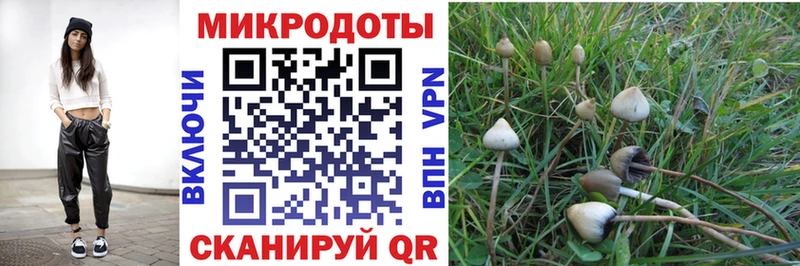 Псилоцибиновые грибы Psilocybine cubensis  купить   Ялта 