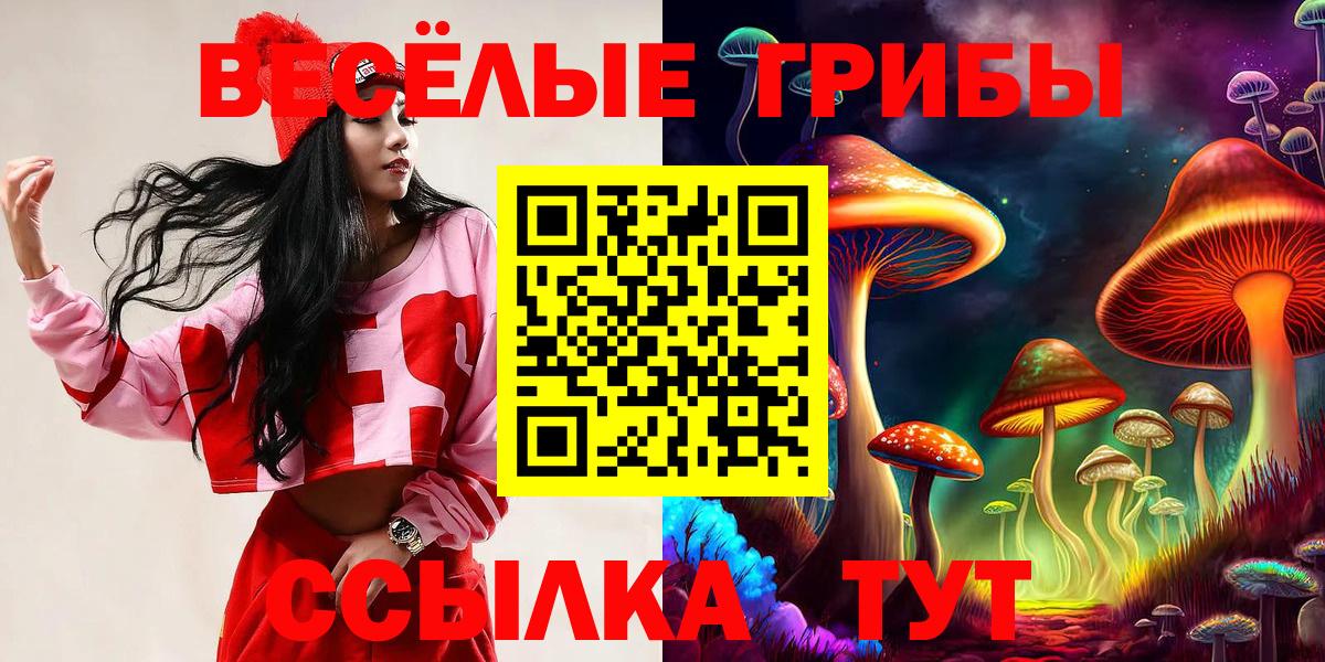 Галлюциногенные грибы Psilocybe Ялта