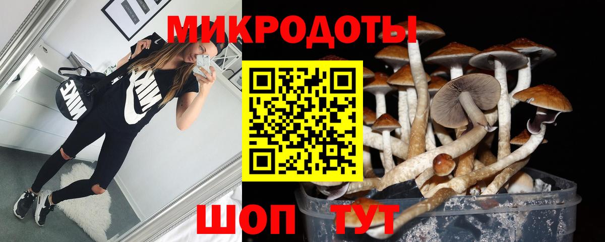 Галлюциногенные грибы GOLDEN TEACHER  Вход с VPN  Ялта 