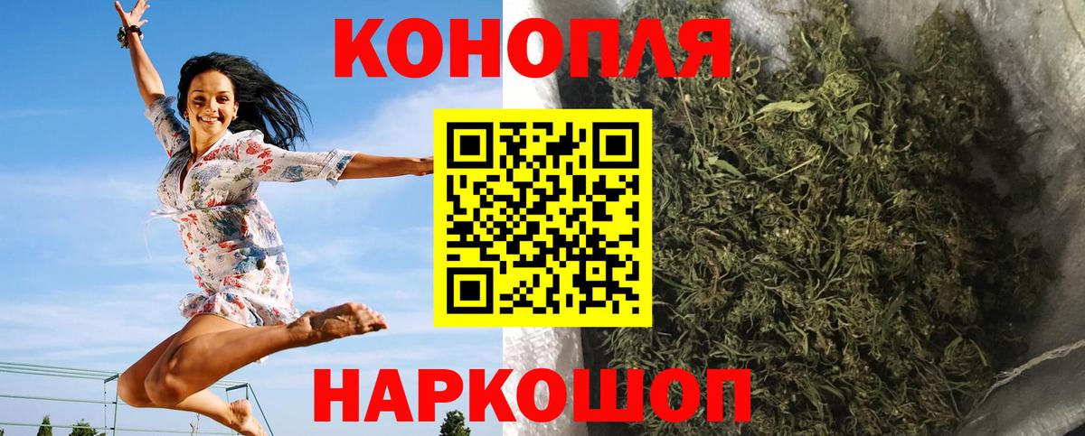 Бошки Шишки семена Ялта